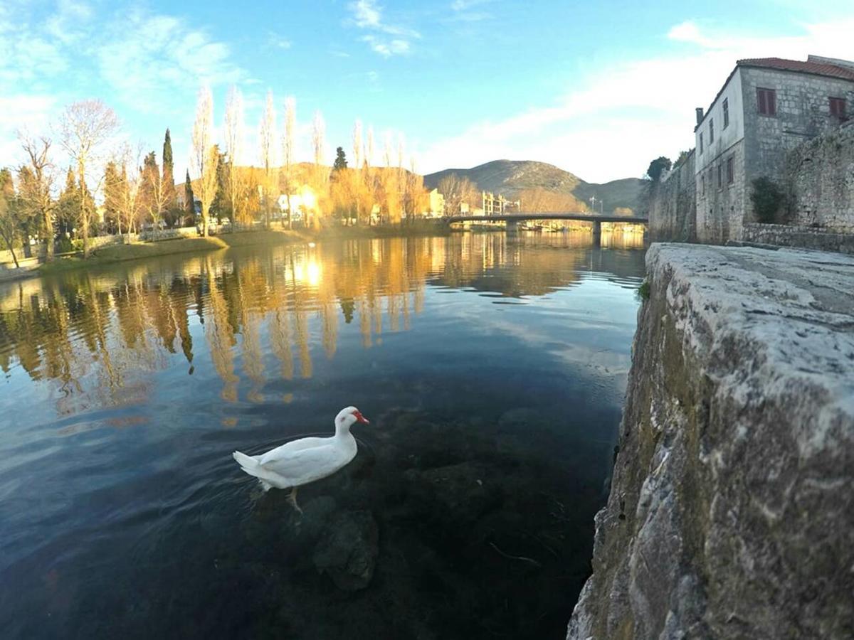 Stone House Trebinje Apartment Bagian luar foto